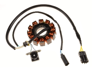 BMW G450 stator alternator rewinding BMW G450 stator alternator rewinding