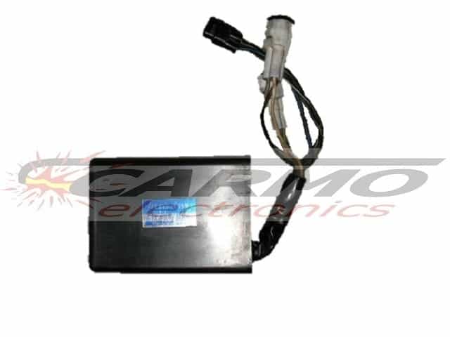 KLX250 (21119-1381, 21119-1399) CDI igniter module